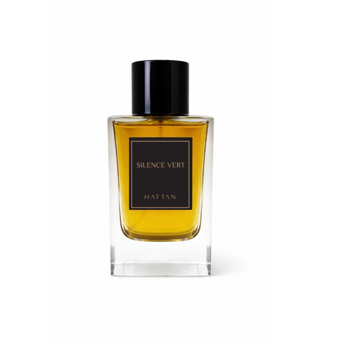 AMBER OUD
